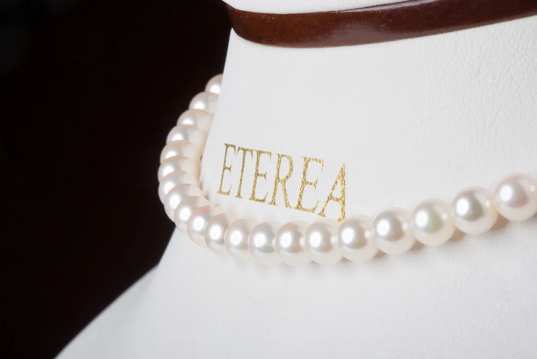 Commercial Portfolio Preview